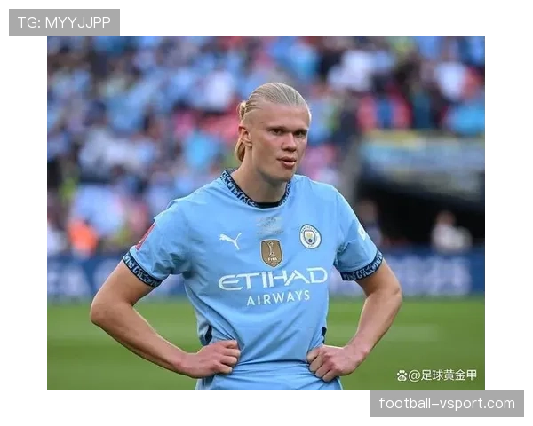 哈兰德距离历史级中锋还差什么？从数据效率到荣誉积累的深层差距解析